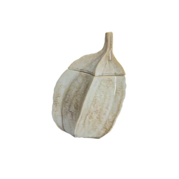 Caixa SABARA 31